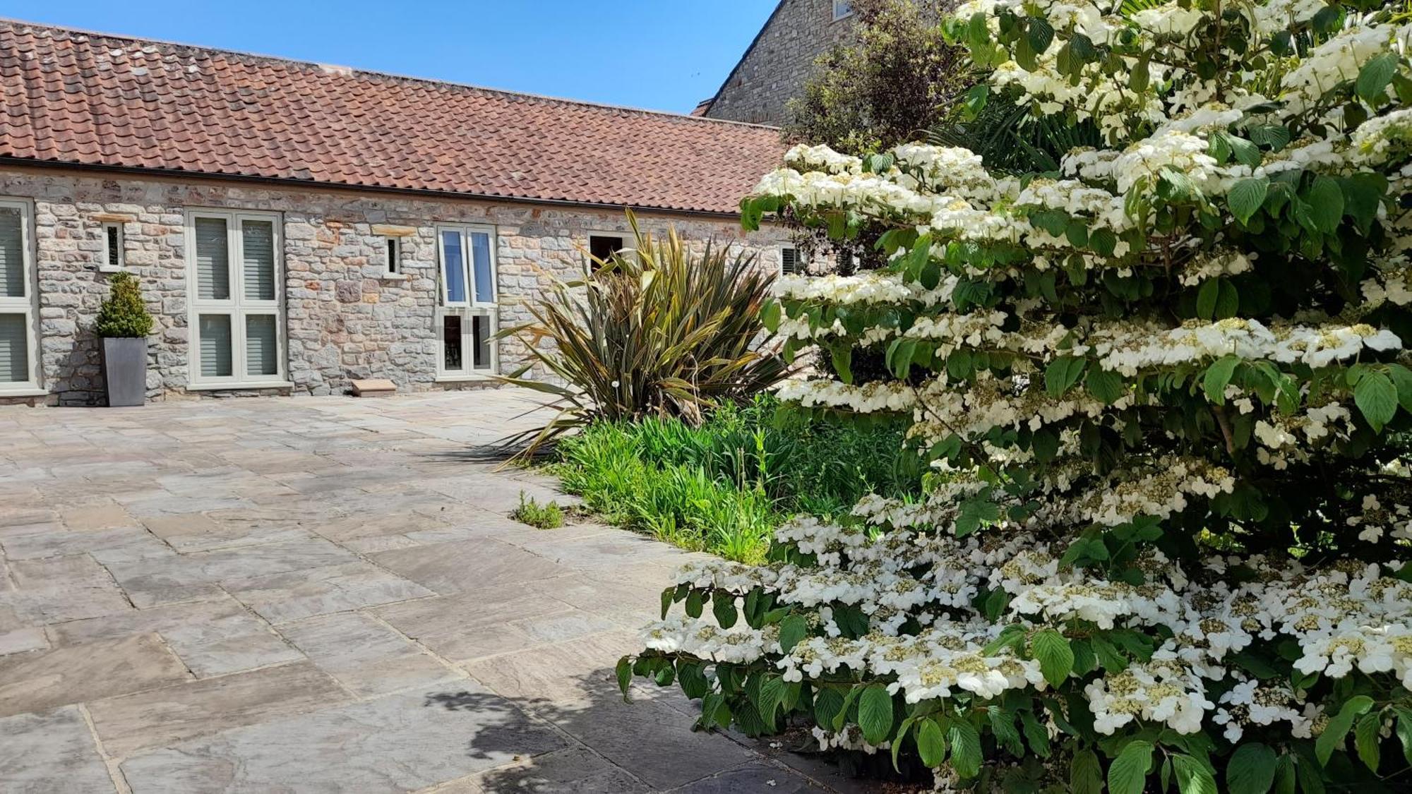 Luxury Barn Conversion Wells Eksteriør bilde